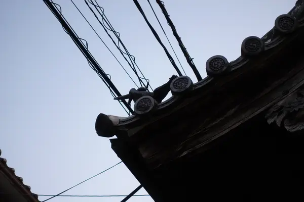 胡堂の写真・動画_image_366223