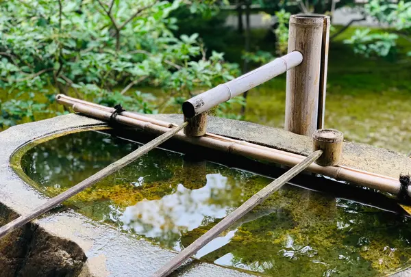 建仁寺の写真・動画_image_366322
