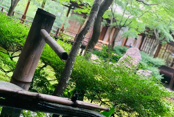 建仁寺の写真・動画_image_366330