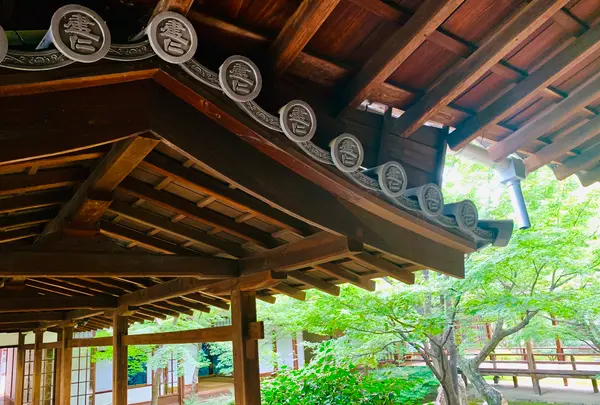 建仁寺の写真・動画_image_366332