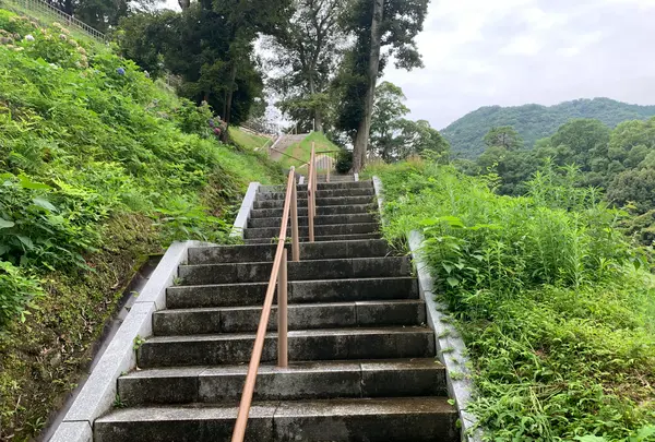 亀山公園の写真・動画_image_366601