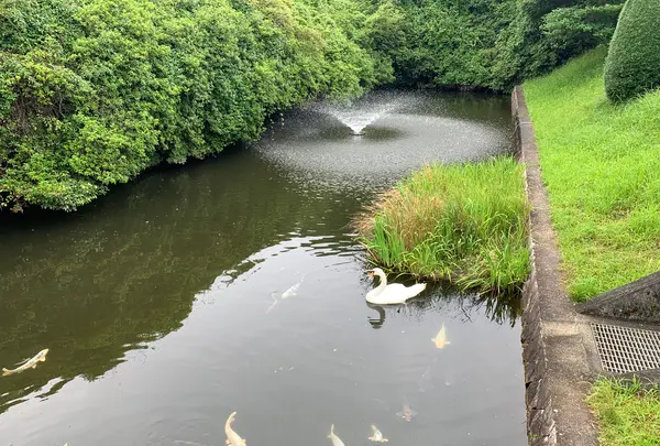 山口県政資料館（旧県会議事堂）の写真・動画_image_366679