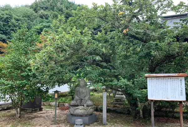 洞春寺の写真・動画_image_366688