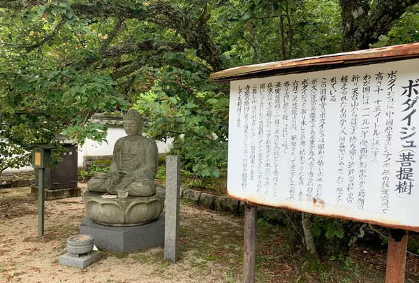 洞春寺の写真・動画_image_366690