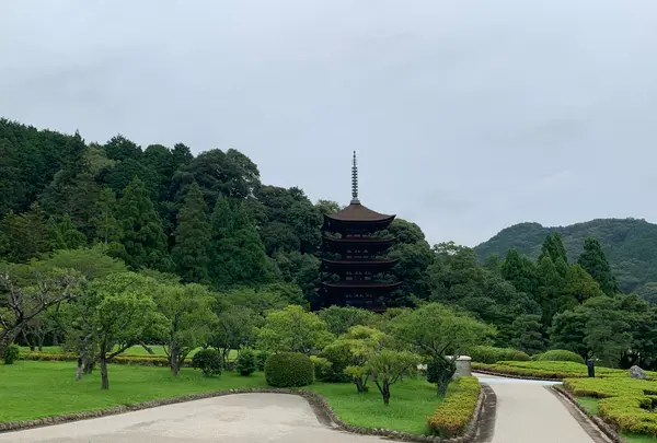 瑠璃光寺の写真・動画_image_366693