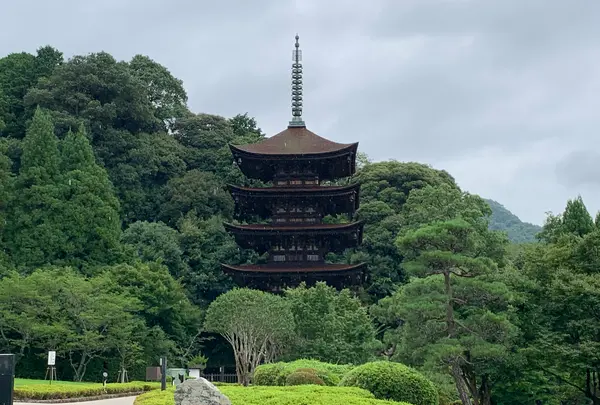 瑠璃光寺の写真・動画_image_366696