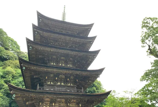 瑠璃光寺五重塔の写真・動画_image_366707