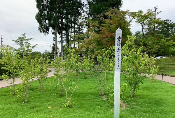 香山公園の写真・動画_image_366710
