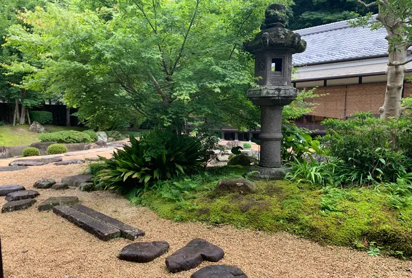 山口市菜香亭の写真・動画_image_366734