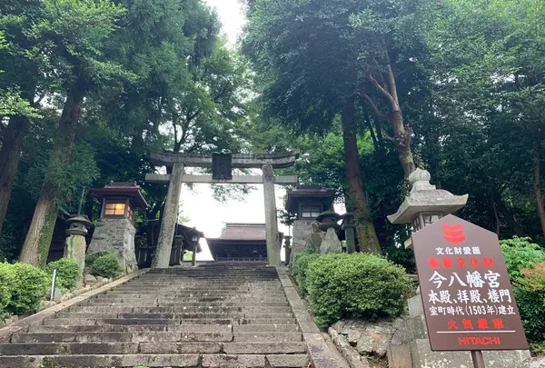 今八幡宮の写真・動画_image_366741