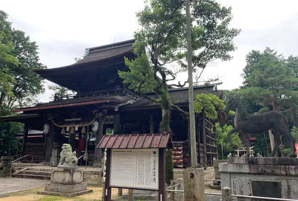 今八幡宮の写真・動画_image_366743