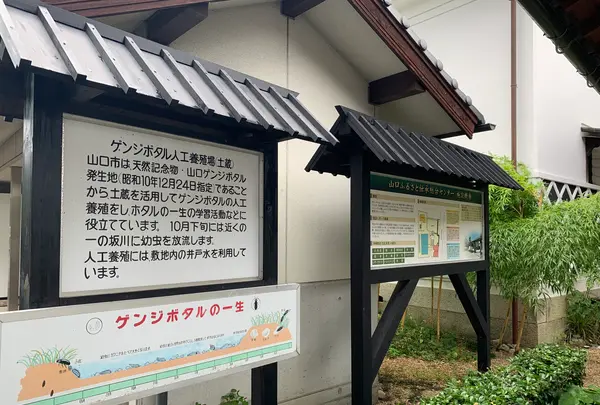 山口ふるさと伝承総合センターの写真・動画_image_366750