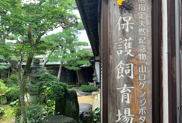 山口ふるさと伝承総合センターの写真・動画_image_366752