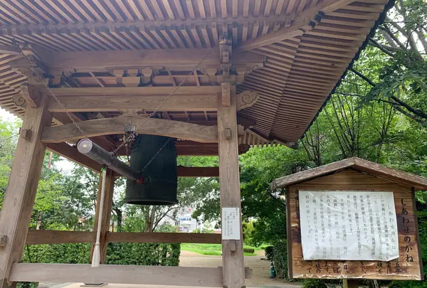 曹洞宗 瑞雲山龍福寺の写真・動画_image_366765