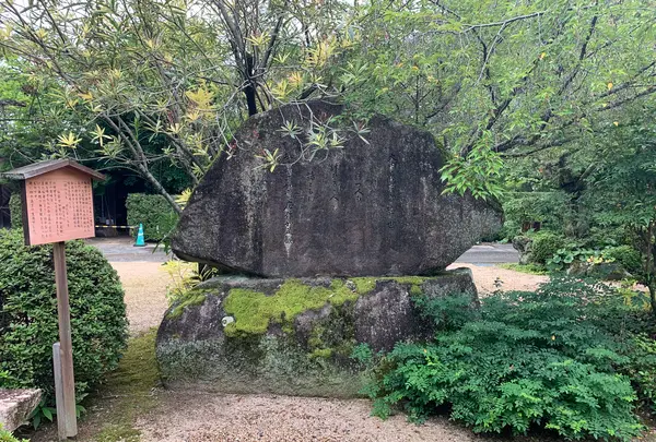 曹洞宗 瑞雲山龍福寺の写真・動画_image_366766