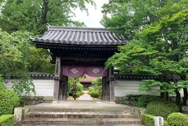 曹洞宗 瑞雲山龍福寺の写真・動画_image_366771