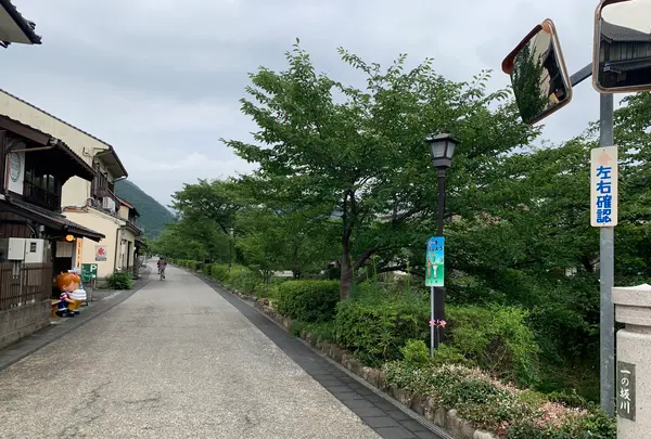 一の坂川の写真・動画_image_366776