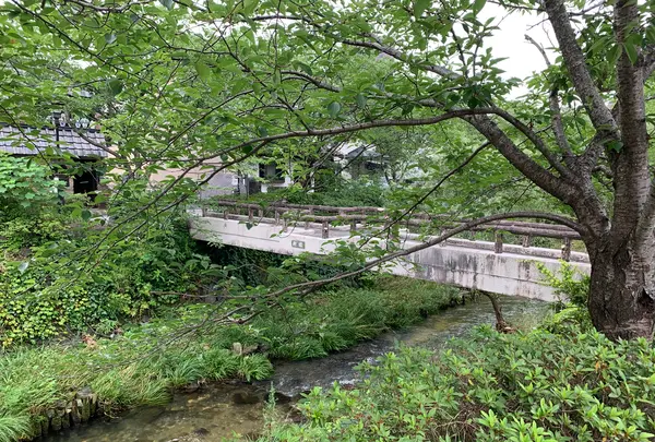 一の坂川の写真・動画_image_366777