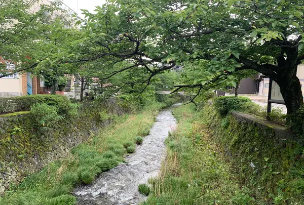 一の坂川の写真・動画_image_366780