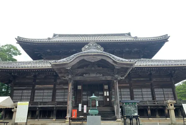 周防国分寺の写真・動画_image_366811