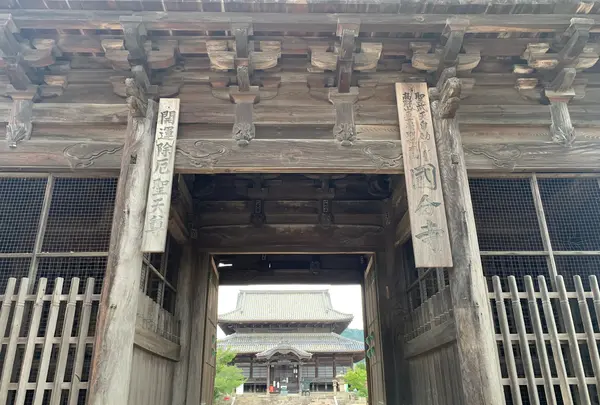 周防国分寺の写真・動画_image_366815
