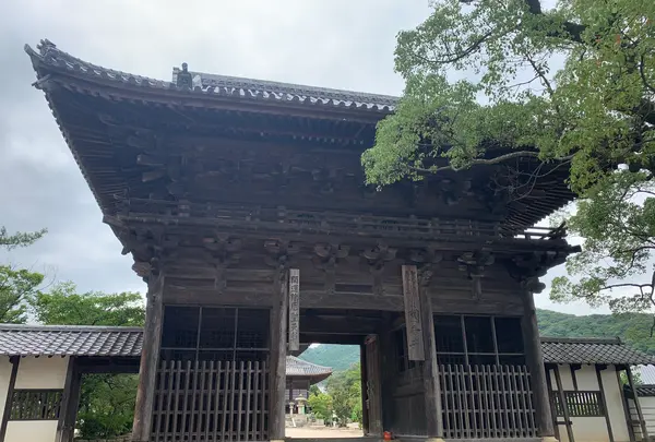 周防国分寺の写真・動画_image_366817