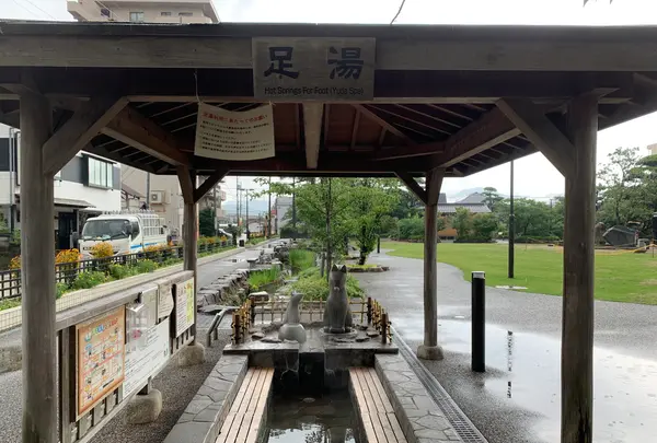 井上公園の写真・動画_image_366911