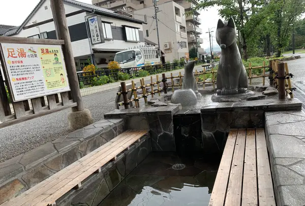 井上公園の写真・動画_image_366912