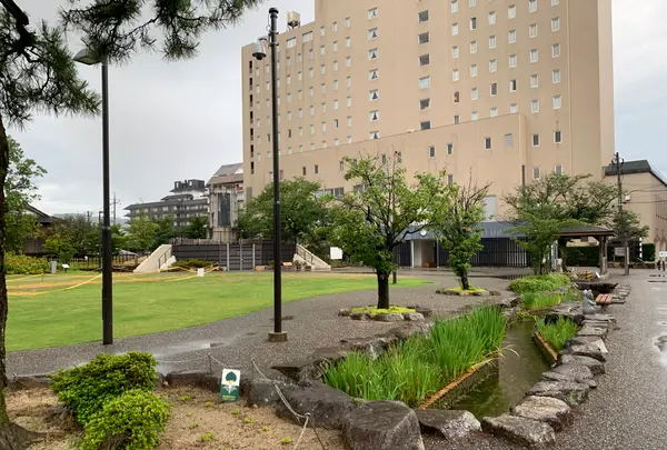 井上公園の写真・動画_image_366915