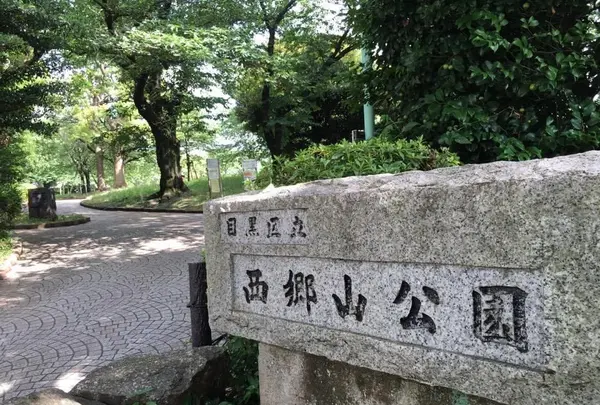 西郷山公園の写真・動画_image_367119