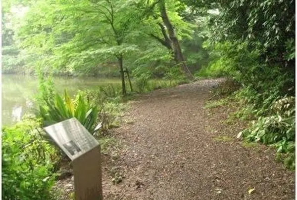 学習院大学の写真・動画_image_367131