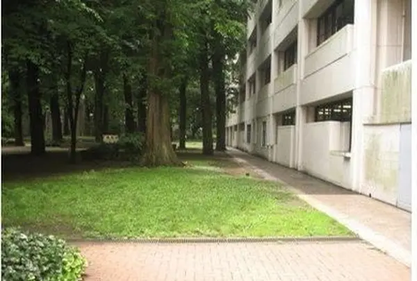 学習院大学の写真・動画_image_367133