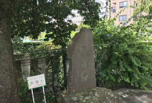 貫一お宮の像（お宮の松）の写真・動画_image_367217
