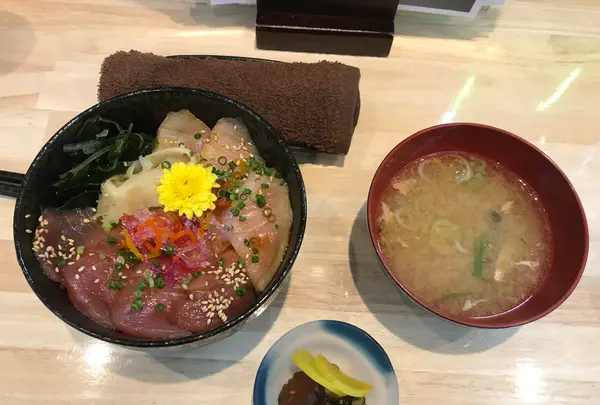 貫一お宮の像（お宮の松）の写真・動画_image_367229