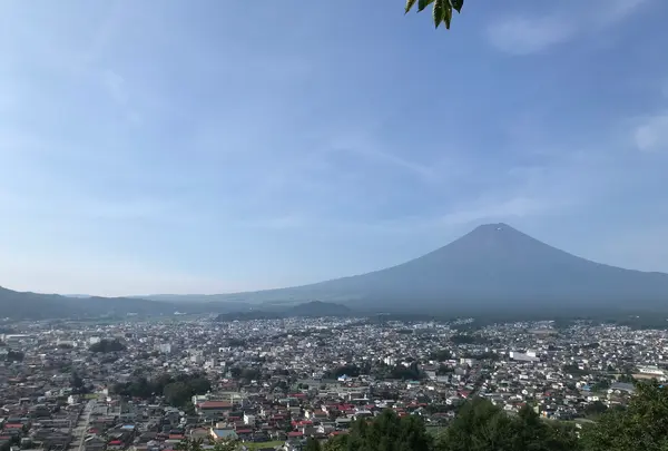 新倉山浅間公園の写真・動画_image_367283