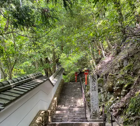 鞍馬寺 本堂の写真・動画_image_367399