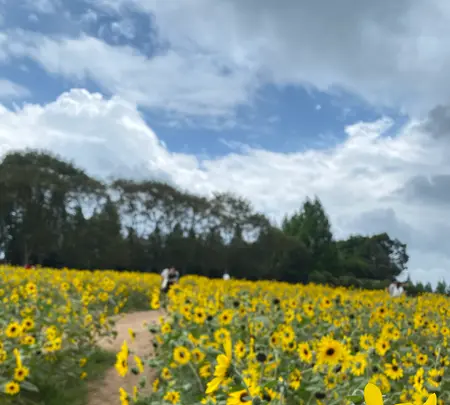世羅高原農場の写真・動画_image_367546