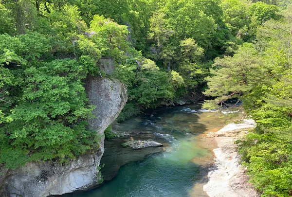 吹割の滝の写真・動画_image_367688