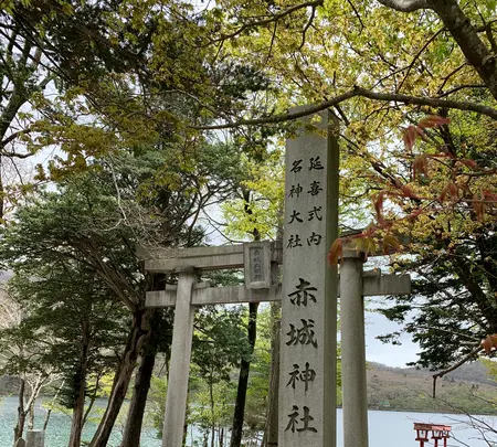 赤城神社の写真・動画_image_367699