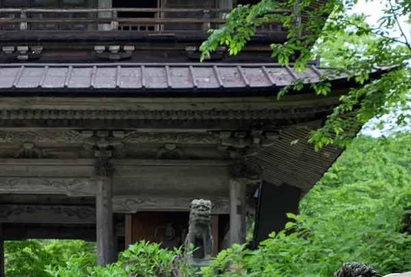 青龍山 吉祥寺の写真・動画_image_367701