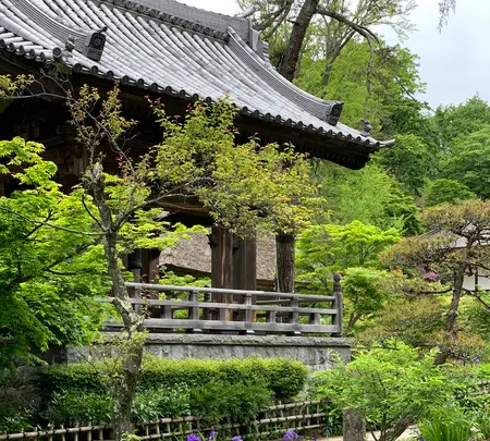 青龍山 吉祥寺の写真・動画_image_367705