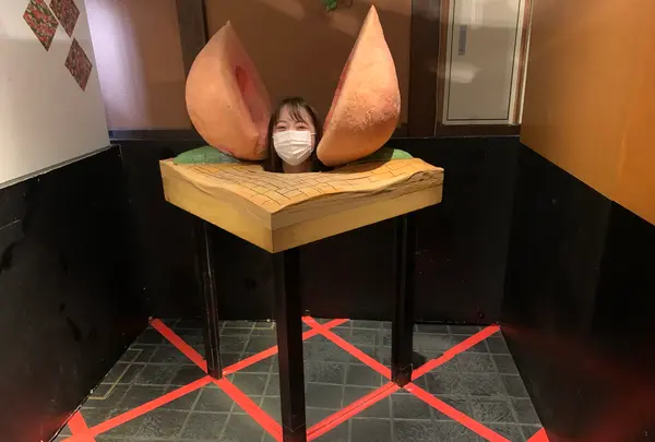 桃太郎のからくり博物館の写真・動画_image_367803