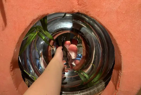 桃太郎のからくり博物館の写真・動画_image_367805