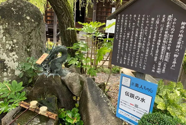 柳と井戸／湘江庵の写真・動画_image_368003