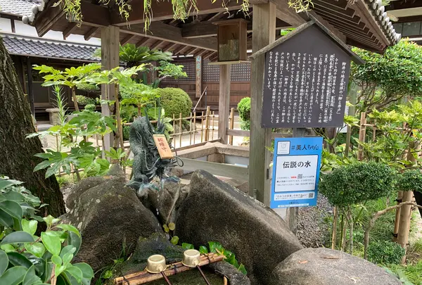 柳と井戸／湘江庵の写真・動画_image_368004