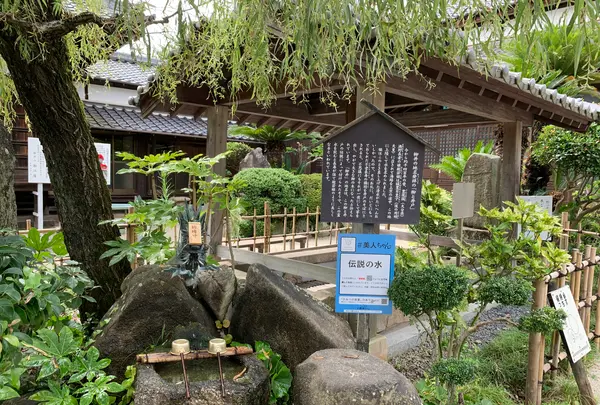 柳と井戸／湘江庵の写真・動画_image_368006