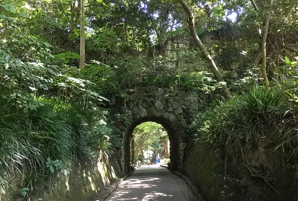 鎌倉文学館の写真・動画_image_368070