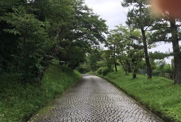 円照寺の写真・動画_image_368084