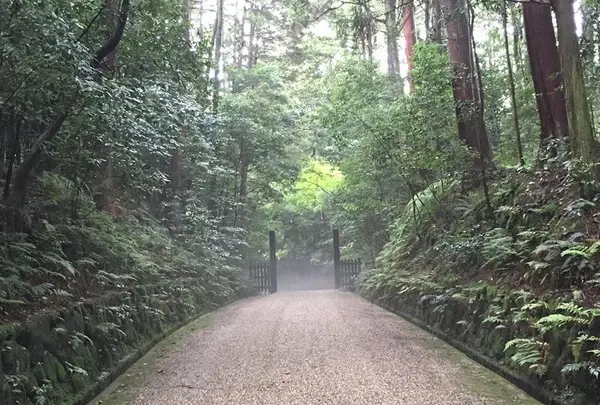 円照寺の写真・動画_image_368085