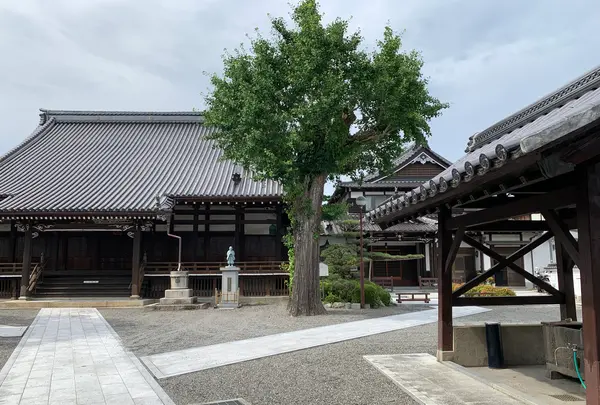 誓光寺の写真・動画_image_368261